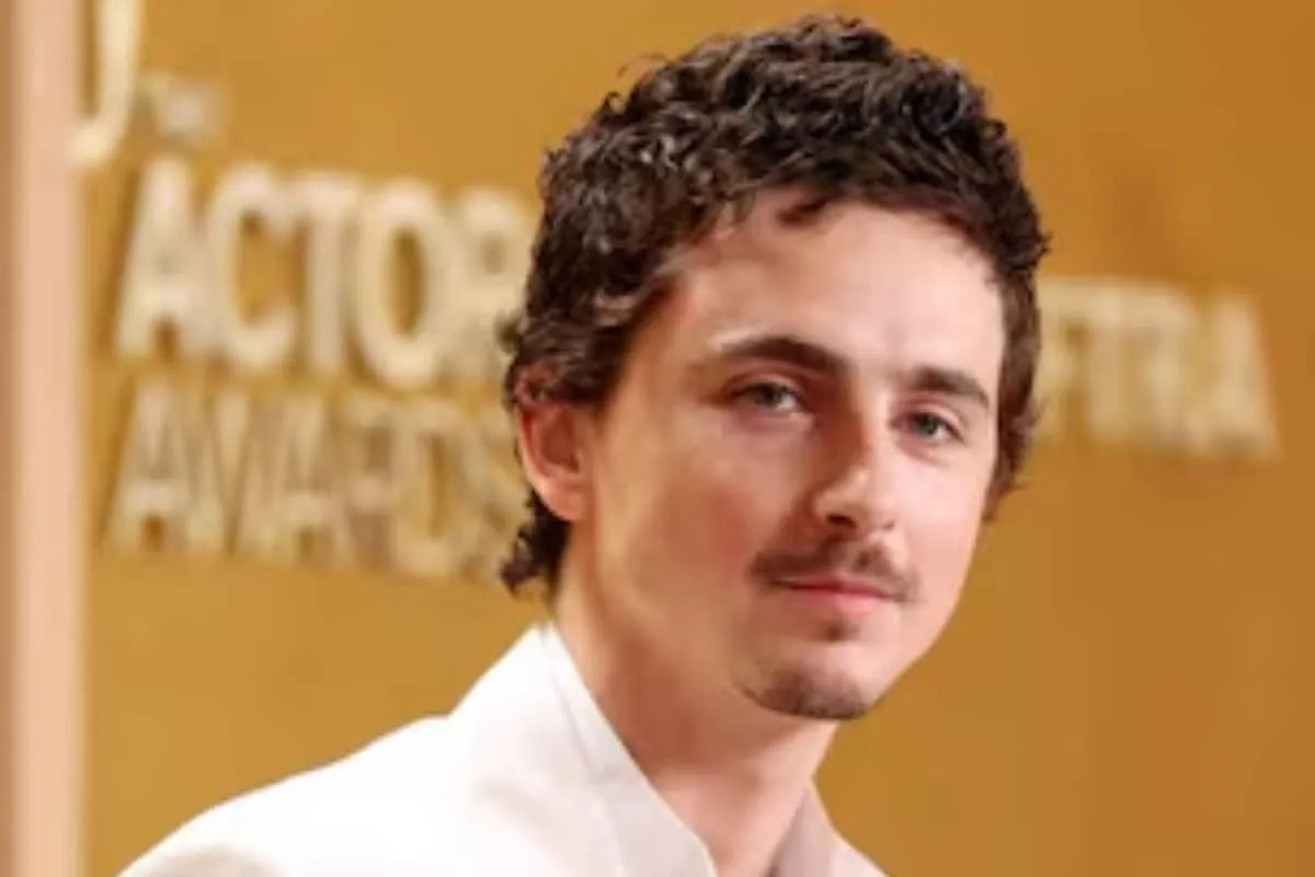 A photo of Timothée Chalamet.