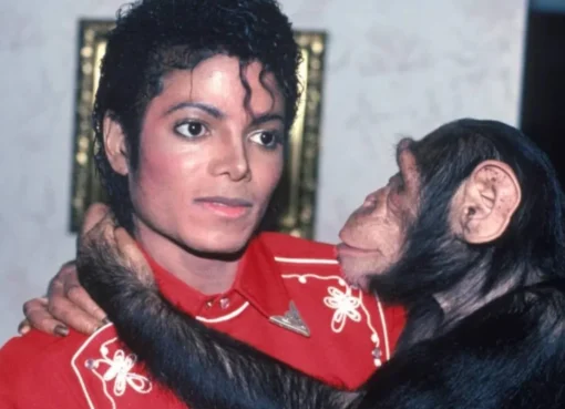 Michael Jackson with his chimpanzee Bubbles.