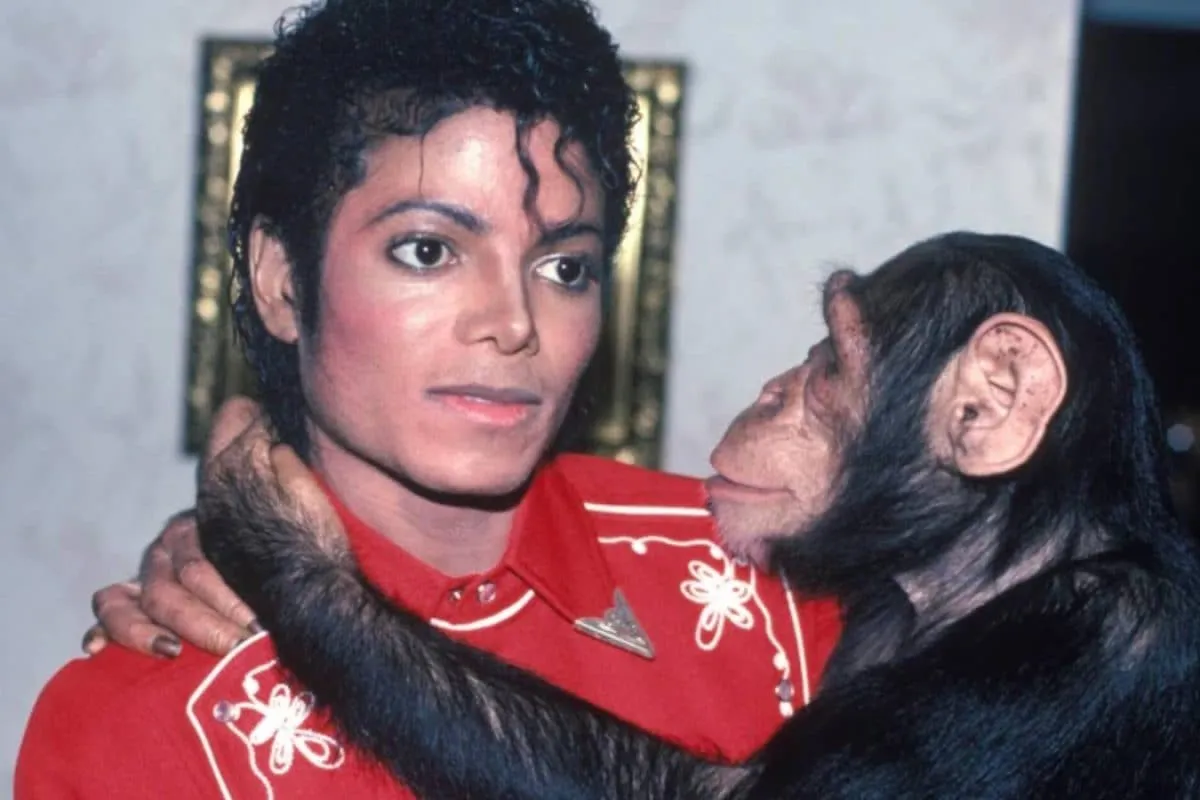 Michael Jackson with his chimpanzee Bubbles.