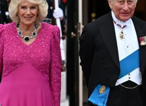 King Charles III and Queen Camilla smiling at a formal dinner.