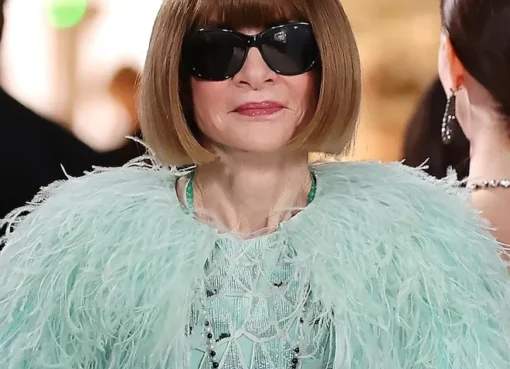 Anna Wintour in a feathered dress at the Met Gala.