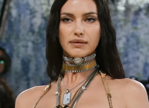 Irina Shayk on the Met Gala red carpet wearing a tiny, art-inspired top.