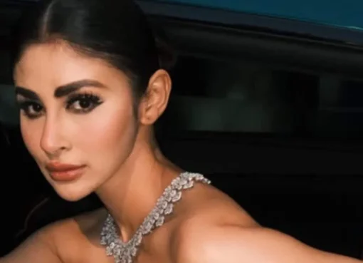 Mouni Roy wearing a crystal-patterned off-shoulder gown inside a luxury car at Cannes.