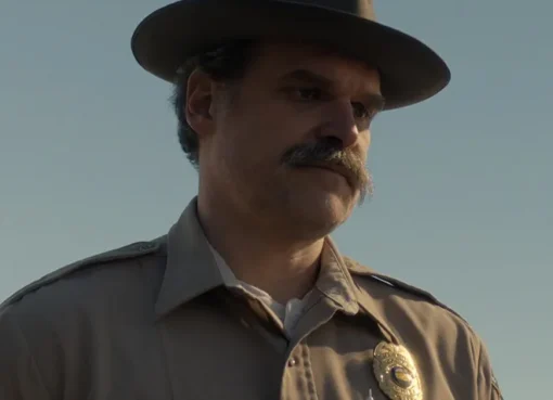 David Harbour as Chief Hopper in Stranger Things
