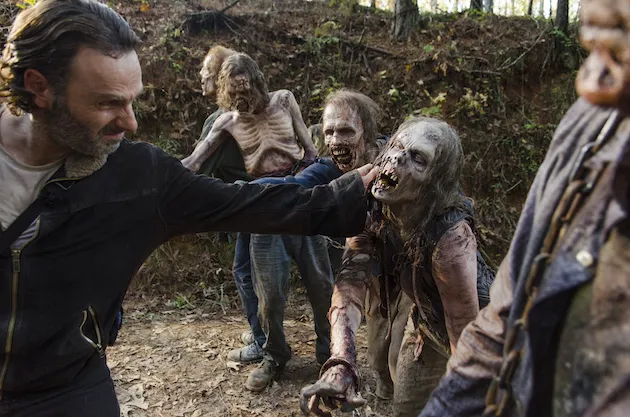 A group of survivors from The Walking Dead looking out at a desolate landscape.