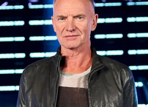 Sting performing on stage