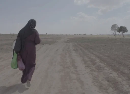 A film camera on a tripod capturing a scene in an arid, sandy setting.