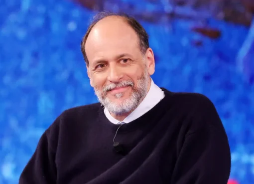 Luca Guadagnino speaking on a television show with a serious expression.