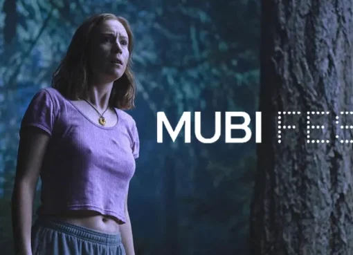 Mubi Fest audience enjoying a film screening at an outdoor event
