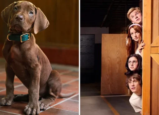 A photo of the live-action Scooby-Doo dog.