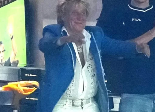 Rod Stewart at a soccer game, wearing a scarf and cheering.