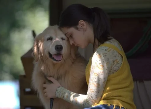 A golden retriever dog looking regal, possibly with a young girl.