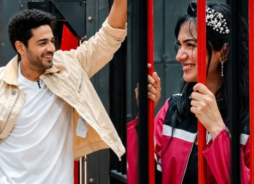 Gaurav Khanna and Akanksha Chamola on a show.
