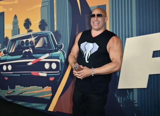 Vin Diesel smiling confidently and giving a slight smirk at a public event.