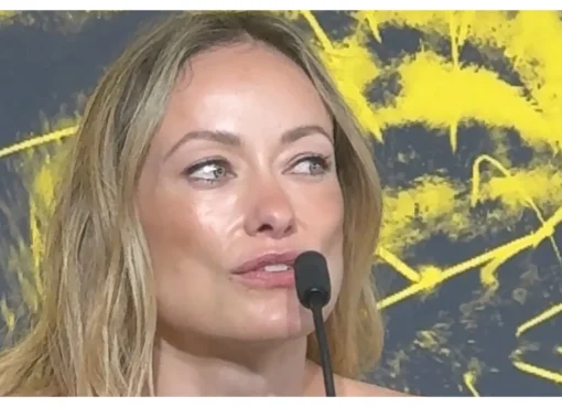 Olivia Wilde smiling and looking thoughtful on a red carpet.