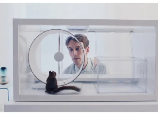 A scene from the Finnish movie The Squirrel showing a futuristic setting