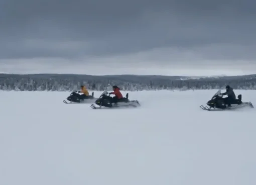 A snow-covered, desolate mountain range with a hint of danger, representing the film 'Snow Predator'.