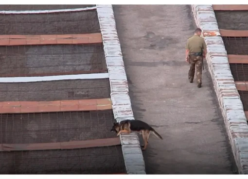 Still from 'Letters from the Silenced Country' documentary