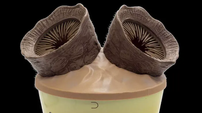A quirky movie popcorn bucket shaped like two interconnected sandworms, ready for sharing snacks.