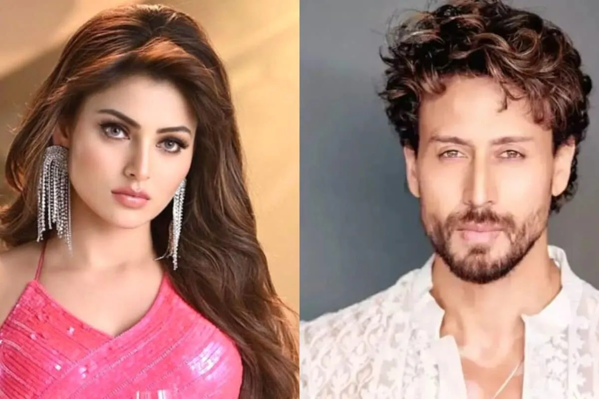 A graphic showing text about Tiger Shroff and Urvashi Rautela's reaction.